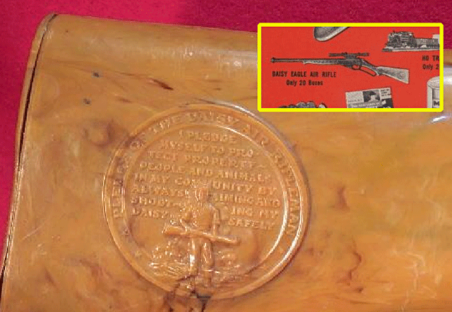 Showing Daisy Pledge