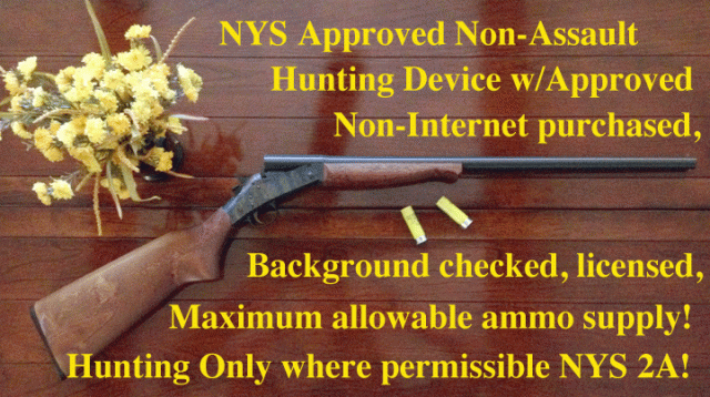 The future of the Second Amendment under Cuomo and other elected officials who "Support your Second Amendment 'hunting right'!"
